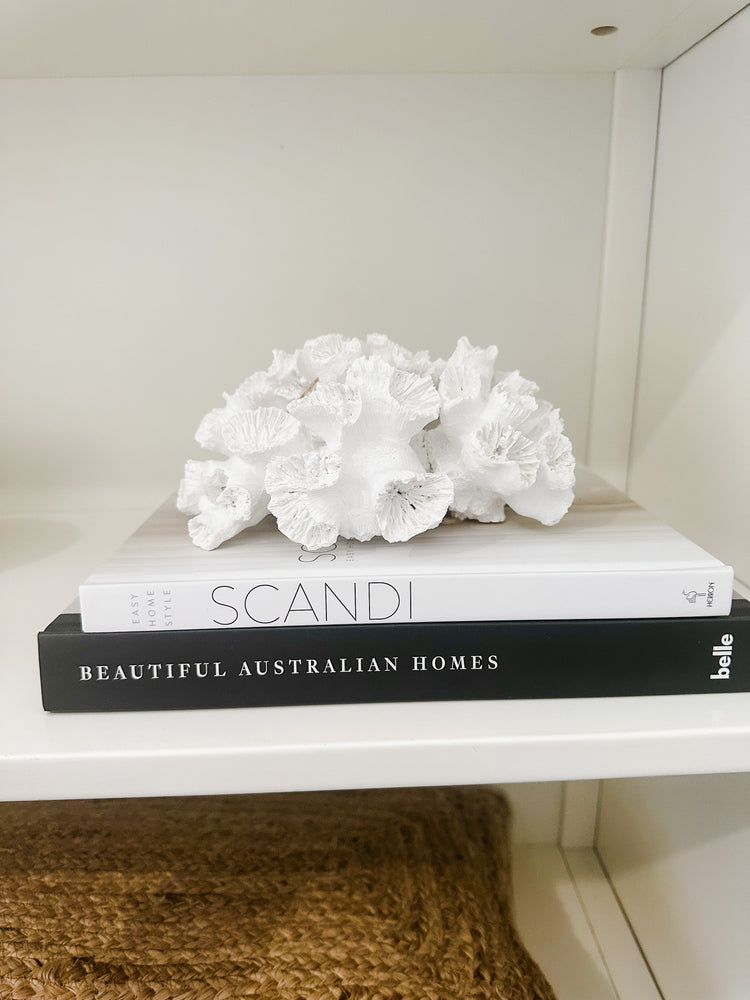 white anemone coral resin sculpture displayed on books in cabinet