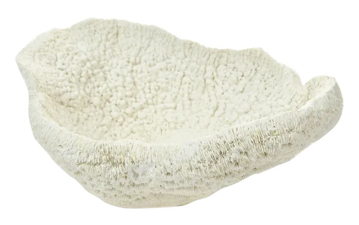  Coral Resin Table Bowl White Coco Dune