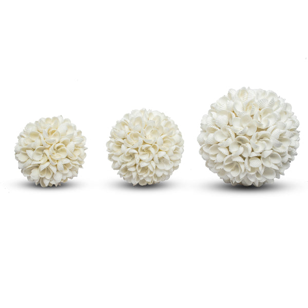 three white frangipani shells in various sizes