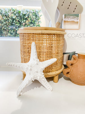 Small polyresin white starfish decor in kitchen setting