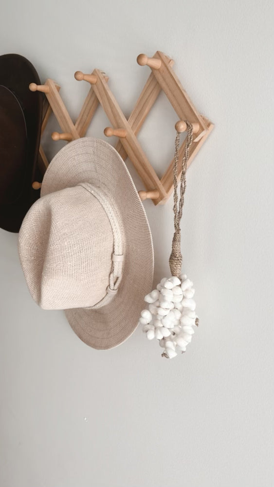 coastal shell cluster displayed on wall hanger